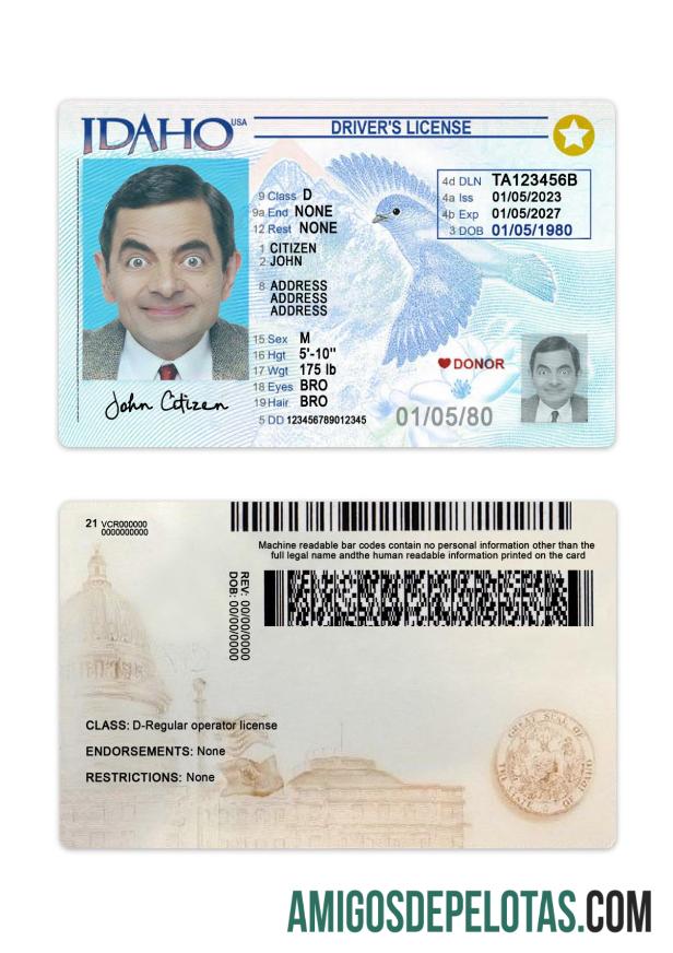 Carteira de motorista dos EUA Idaho 2023 presente amostra